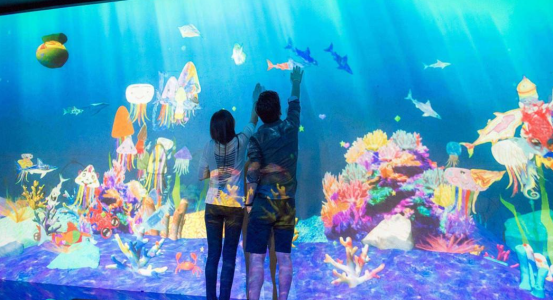 互动投影 互动投影